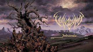 Vulvodynia  Imbawula Official Stream [upl. by Olecram]