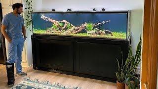 XXL NATURE AQUARIUM BUILD  FULL STEP BY STEP [upl. by Goodyear743]