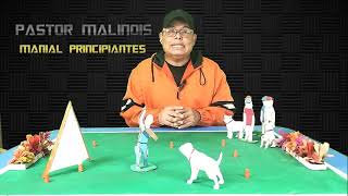 Prueba de COMPORTAMIENTO Pastor Malinois [upl. by Anirt]