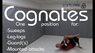 Cognates A single position for sweeps leglocks guards and mounted attacks in JiuJitsu [upl. by Achorn]