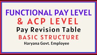 Functional Pay Level  ACP Level क्या होते हैं  Pay Matrix  Haryana Govt Employee [upl. by Nakeber]