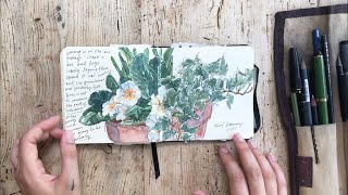 Sketchbook Tour [upl. by Ymled]