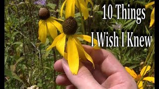 10 Things I WISH I KNEW When Starting To Forage Wild Edibles amp Medicinal Plants [upl. by Ominoreg314]