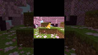 MINECRAFT MYTHS [upl. by Love]