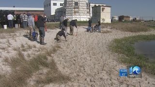 Vegetation planting to help stop erosion [upl. by Rosenkranz]