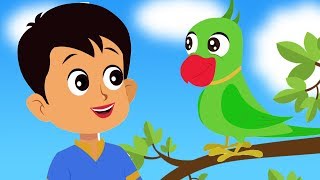 Main Tota Main Tota  Hindi Kids Rhyme  Nursery Songs In Hindi  मैं तोता मैं तोता  Hindi Rhyme [upl. by Atilef848]