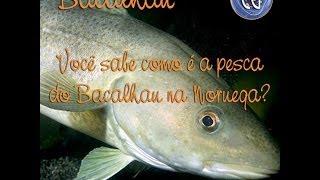 Pesca do Bacalhau na Noruega [upl. by Eneryc]