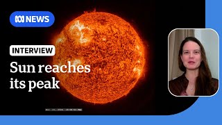 Sun reaches maximum phase in 11 year solar cycle  ABC News [upl. by Deppy]