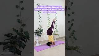 Join online yoga classes WhatsApp 91 76623 54608 [upl. by Marquardt]