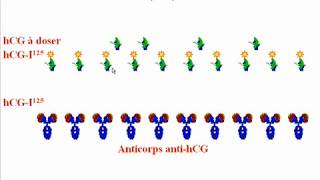 Réaction Antigénes Anticorps III [upl. by Larimer82]