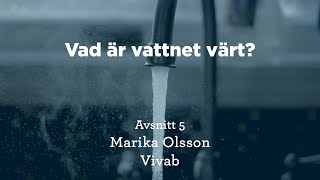 Vad är vattnet värt Avdelningschef Marika Olsson om hållbara investeringar för framtidens vatten [upl. by Nette348]