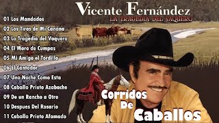 VICENTE FERNANDEZ CORRIDOS DE CABALLOS MIX  VICENTE FERNANDEZ LAS MEJORES RANCHERAS [upl. by Oterol]