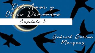 GABRIEL GARCÍA MARQUEZ DEL AMOR Y OTROS DEMONIOS CAPITULO 35 [upl. by Cavanaugh]