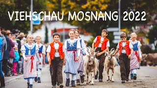 Viehschau Mosnang 2022 [upl. by Arotal861]