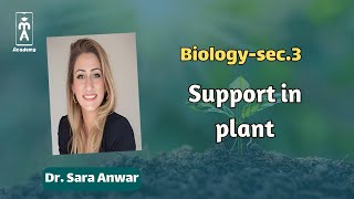 Biologysec3  introduction session for Support in plant [upl. by Salita131]