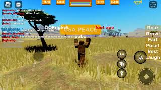 Playbox Safari Bigfoot Empire [upl. by Basir]