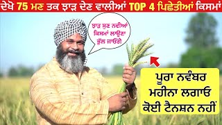 Top 4 late sowing wheat varieties  ਕਣਕ ਪਿਛੇਤੀ ਹੋ ਗਈ ਤਾ ਘਬਰਾਓ ਨਾ ਦੇਖੋ ਟਾਪ 4 ਪਿਛੇਤੀਆਂ ਕਿਸਮਾਂ [upl. by Hopfinger]