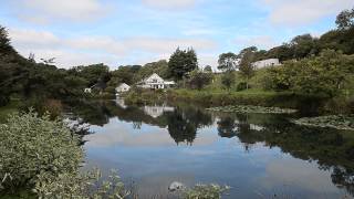 MILL FARM FISHERY BRADWORTHY DEVON [upl. by Aihsenot]