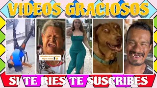 🎊🍋RECOPILACIÓN DE LOS VIDEOS MÁS GRACIOSOS DE YOUTUBE🍑🎊SI TE RIES PIERDES EL RETO😂😅 [upl. by Alyak199]