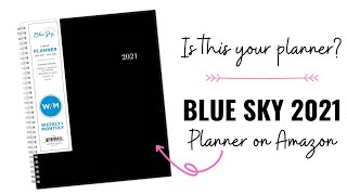 BLUE SKY  Most AFFORDABLE PLANNER ON AMAZON  Full FlipThru  Pen Test [upl. by Naitsirhc935]