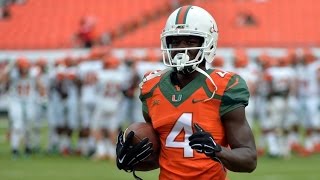 Phillip Dorsett Highlights  quotHurricanes Yard Murdererquot ᴴᴰ  The [upl. by Kattie592]