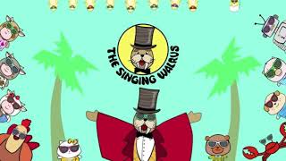 The Singing Walrus Intro Only 2021 [upl. by Vivien]