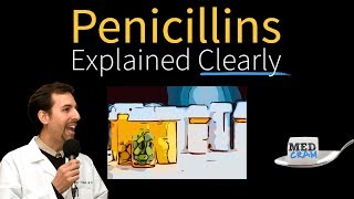 Penicillins  Antibiotics Explained Clearly [upl. by Ahsitneuq]