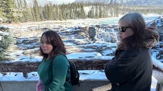 Magnificent Athabasca Falls tourism nature destination scenery loveit waterfall naturalbeauty [upl. by Elleniad578]