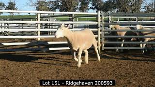 Lot 151  Ridgehaven 200593 [upl. by Araminta]