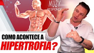 COMO ACONTECE A HIPERTROFIA MUSCULAR  MUZY RESPONDE [upl. by Kenley515]