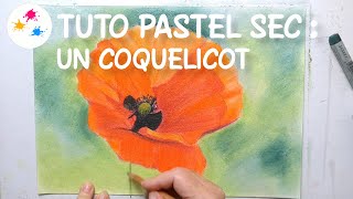 Tuto  un coquelicot au pastel sec [upl. by Ellezig]