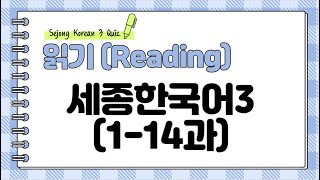 Sejong Korean 3  Reading Q amp A Sub KOR ENG [upl. by O'Neil]