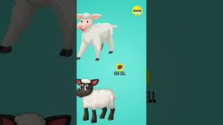 செல்லக் குட்டி ஆட்டுகுட்டி🐐  The Story of Dolly the Cloned Sheep  Science Facts⚗️ Kids videos [upl. by Elleb945]