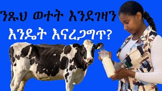 ወተት ውስጥ ባእድ ነገር እንዳልተጨመረበት እንዴት ማወቅ ይቻላል milkadulterationtestseshetumelesemeskelalcoholtest [upl. by Aisad]