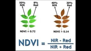 what is vegetation index and types of vegetation index PART 1 [upl. by Romelda]