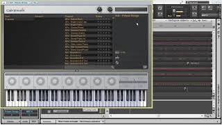 Пользовательская Библиотека Cakewalk Sound Center [upl. by Nesto75]