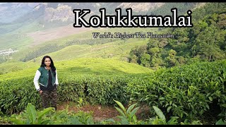 Worlds Highest Tea Plantation Kolukkumalai Munnar  Most beautiful sunrise in Kerala [upl. by Nodlehs]