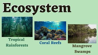 Ecosystem Tropical Rainforests Coral Reefs and Mangrove Swamps Science 6 [upl. by Lothario]