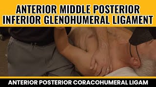 Anterior Middle Posterior Inferior Glenohumeral ligament Anterior Posterior Coracohumeral Ligam [upl. by Oikim]