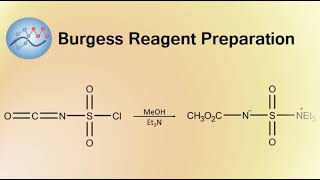 Burgess Reagent Preparation Mechanism  Organic Chemistry [upl. by Eive]