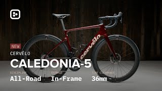 NEW Cervélo Caledonia5 With InFrame Storage  First Impressions [upl. by Candida]