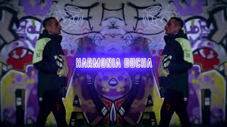 Radziu RSG  Harmonia ducha prod FeRu [upl. by Elliven]