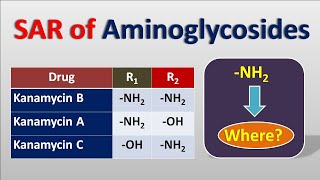 SAR of Aminoglycosides  Structure activity relationships [upl. by Augustin1]