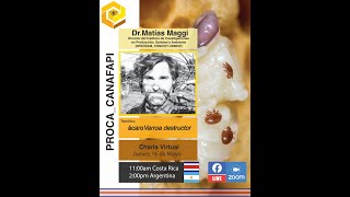 Acaro varroa destructor con el Dr Matías Maggi [upl. by Orfurd]