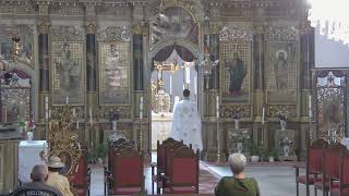 Episcopia GrecoCatolică de Oradea Live Stream [upl. by Yasdnil870]