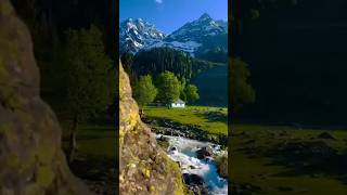 Tere bin kuch nahi song naturelovers viralvideo [upl. by Tigram939]