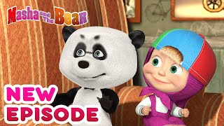 Masha and the Bear 💥🎬 NEW EPISODE 🎬💥 Best cartoon collection 🎪 Variety Show [upl. by Sirtaeb83]