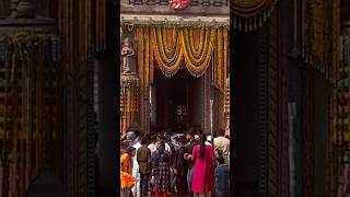 Jagatara Natha Jagannath universalgod jagannath krishna shorts bhakti solotraveller525 [upl. by Ramar]