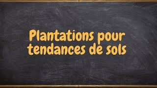 Plantations pour tendances de sols [upl. by Clements]