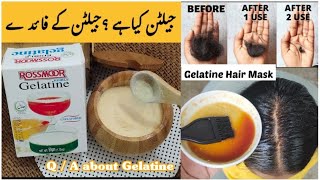 what is Gelatin detailed QA about gelatine  Gelatin secret Hair Growth Mask [upl. by Nomor]